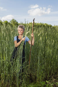 Rineke Dijkinga Heerlijk Westerwolds Land