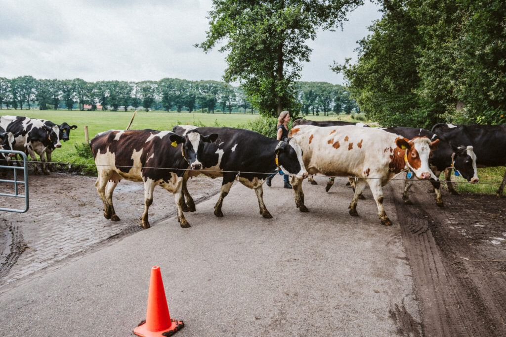 Burgerboerderij de Patrijs