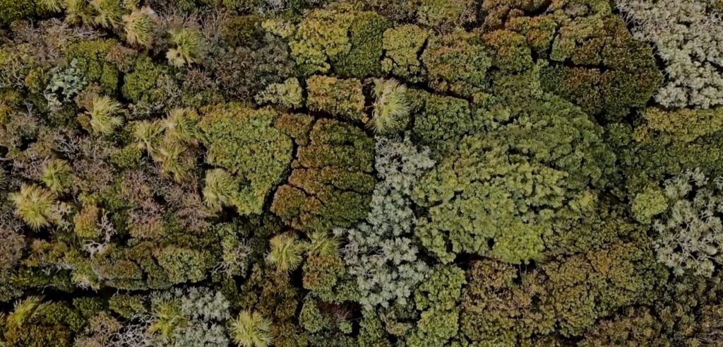 Decade of Action ANBI stichting