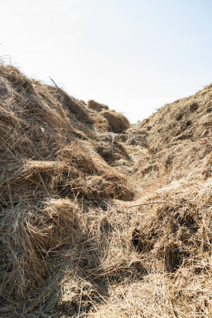 biobased bouwen