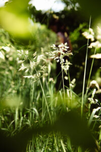 biodiversiteit