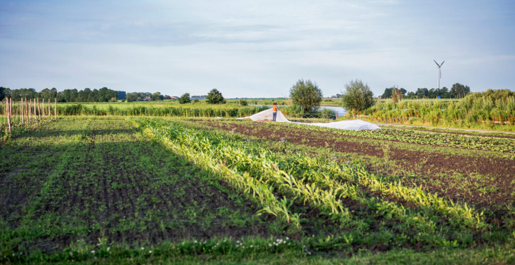 Regeneratieve landbouw Boeren van Botmas