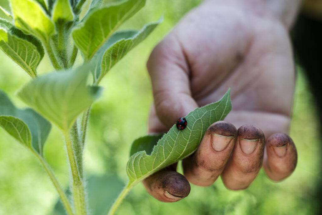 biodiversiteit