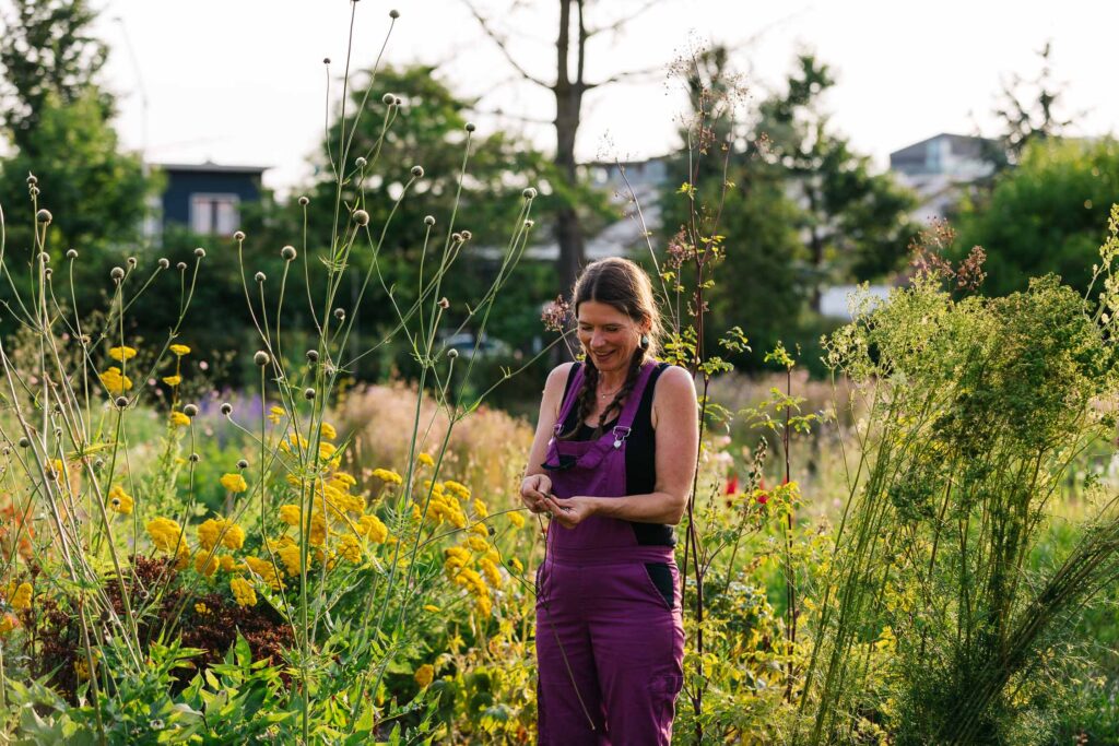 Pionier Noorderbloemen