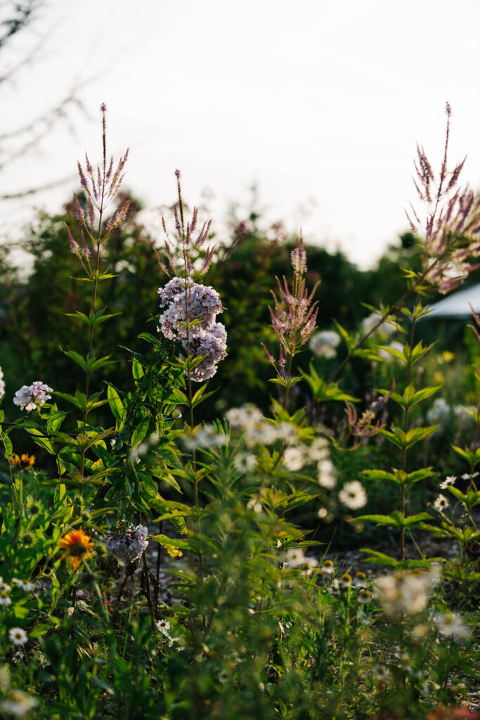Bloemen door Noorderbloemen