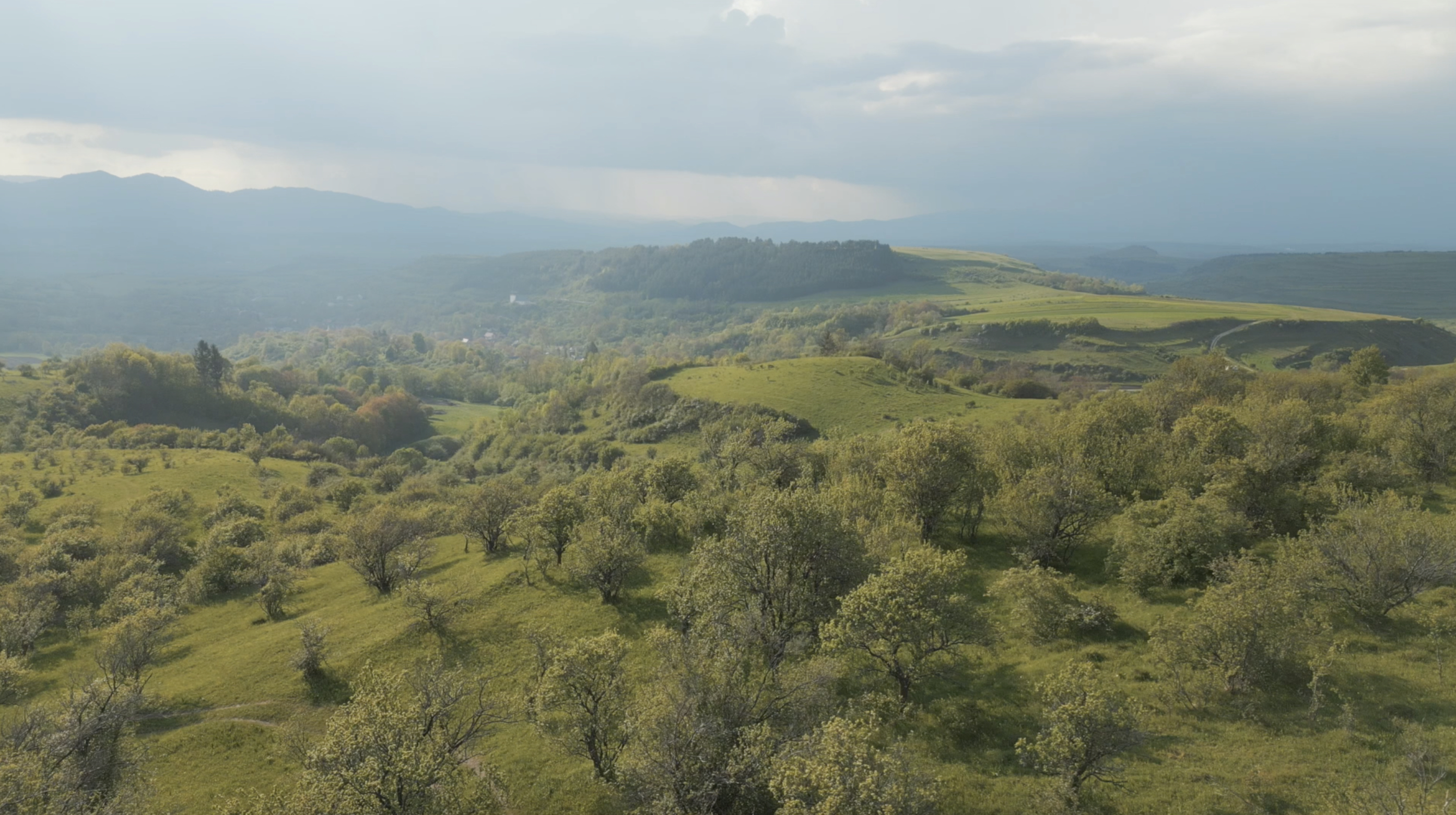 ALPA Transsylvanië
