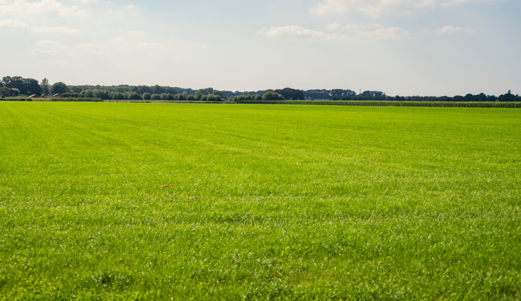 grondeigendom landbouwgrond vrijmaken