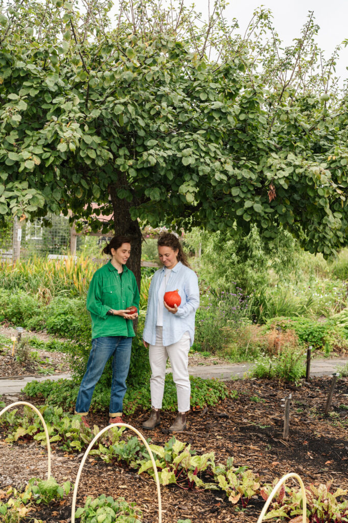 HarvestCare Voedsel als medicijn