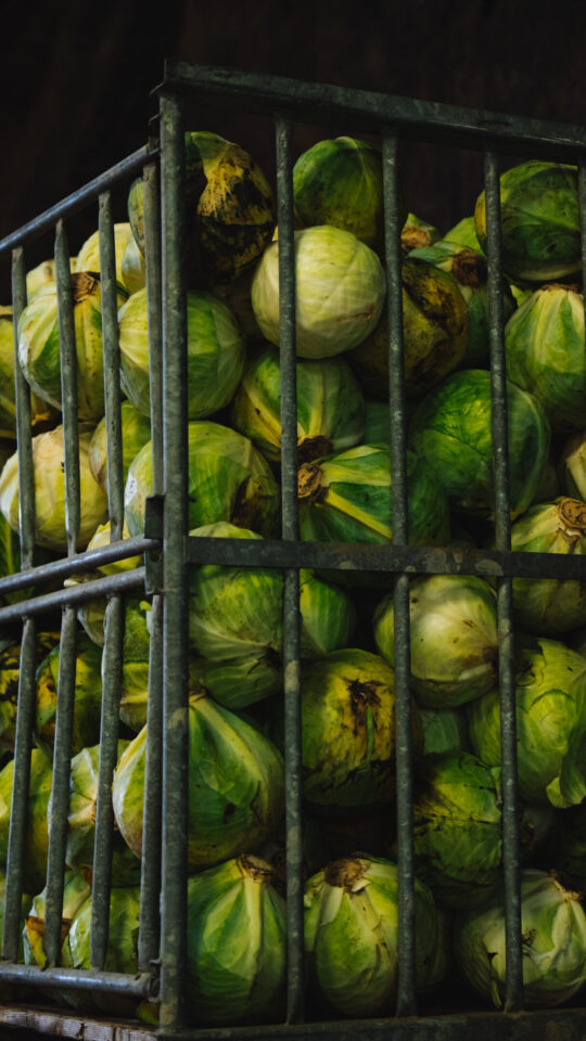 Biologische kolen van boer Johan
