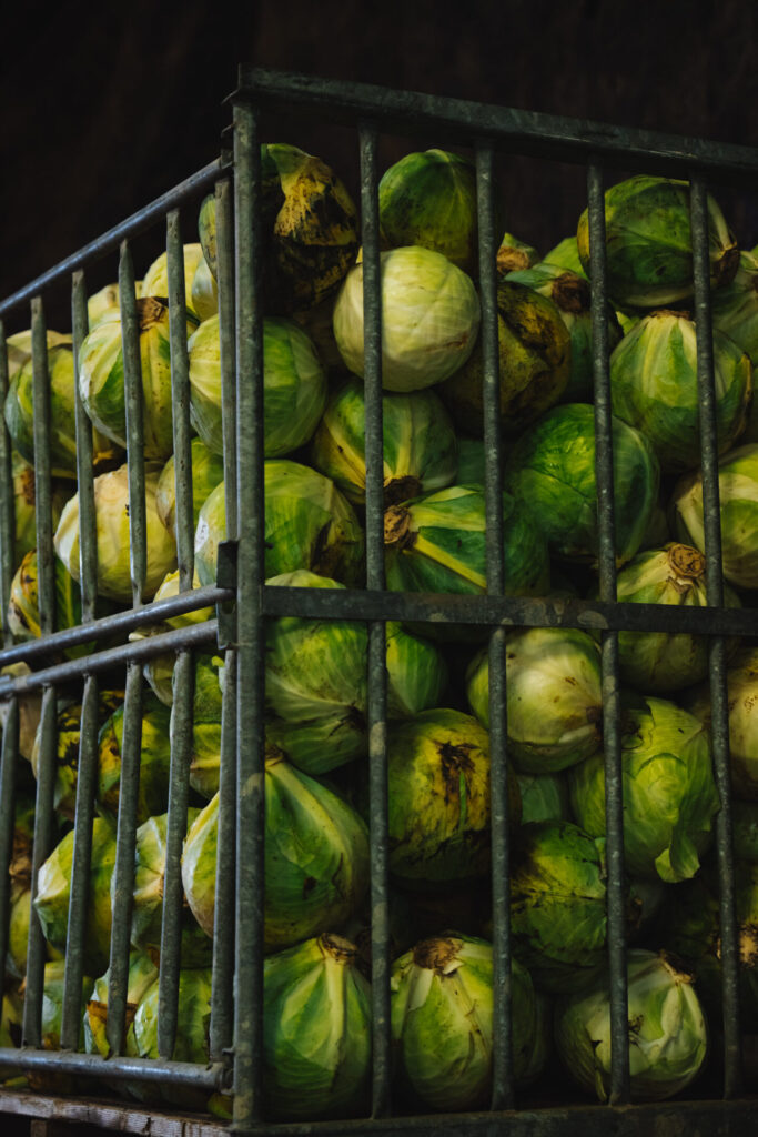 Biologische kolen van boer Johan