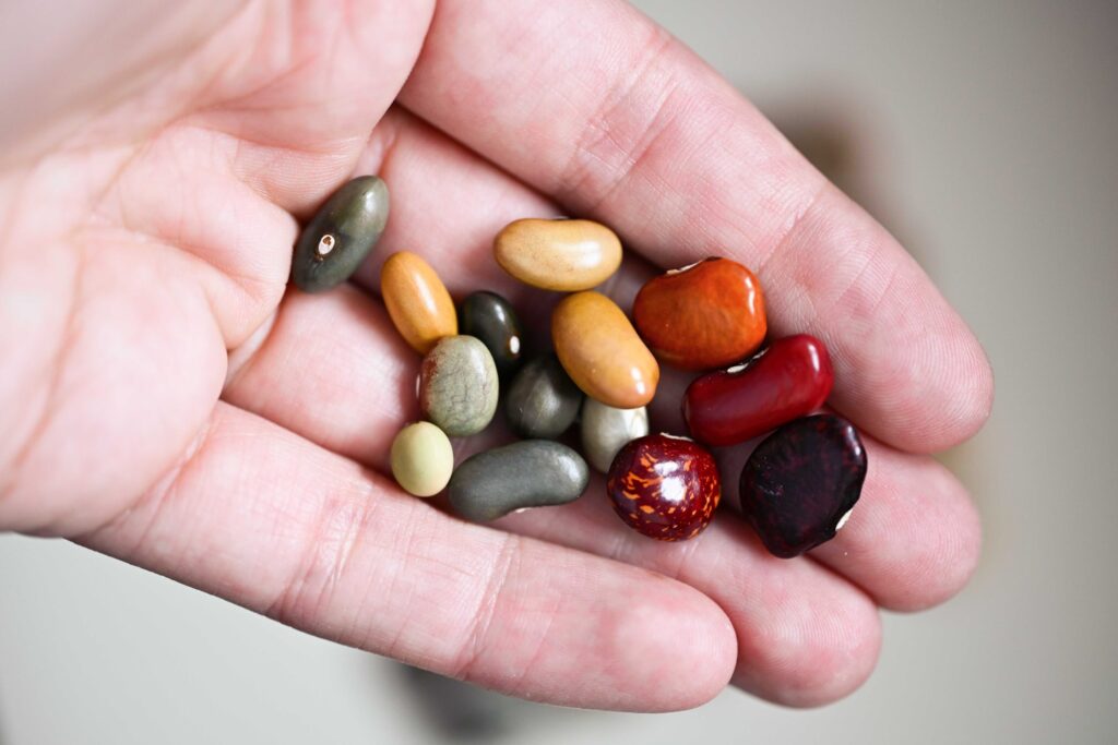Beans