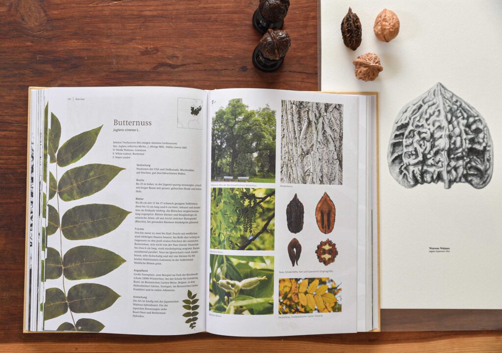 Walnut book