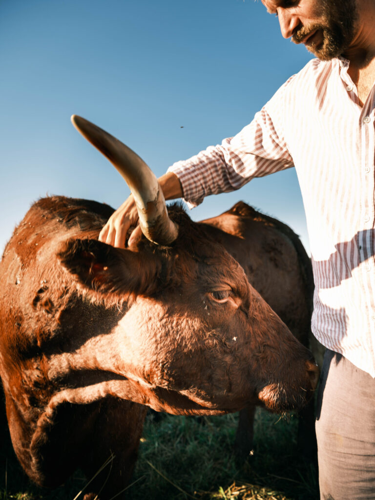 Benedikt Bösel with animal at Gut&Bösel